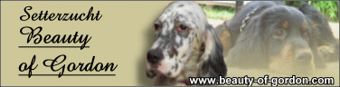 banner_beauty_of_gordon