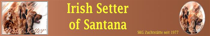banner_of_santana