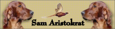 banner_sam_aristokrat